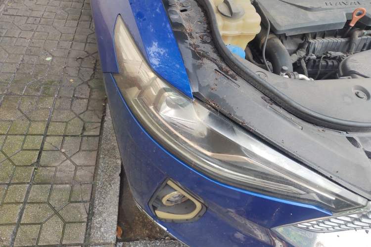 Used Haval F7 2020 1.5T Two-Wheel Drive iCool Right Front Headlight