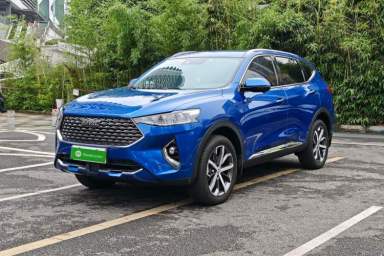 Used Haval F7 2020 1.5T Two-Wheel Drive i-Trend