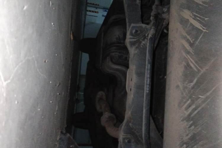Used Haval F7 2020 1.5T Two-Wheel Drive i-Trend Chassis Rear