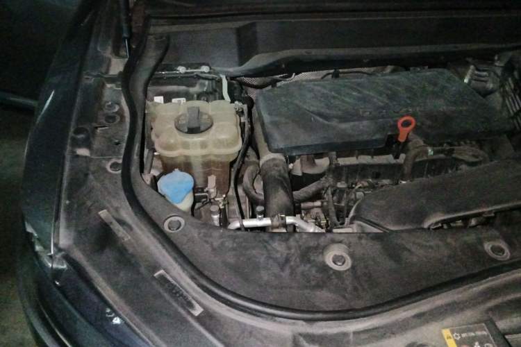 Used Haval F7 2020 1.5T Two-Wheel Drive i-Trend Engine Bay Right