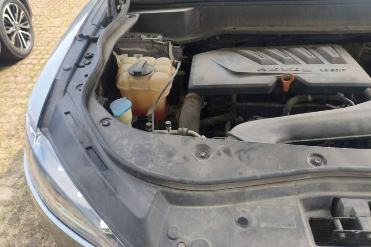 Used Haval F7 2020 1.5T Two-Wheel Drive i-Trend Engine Bay Right