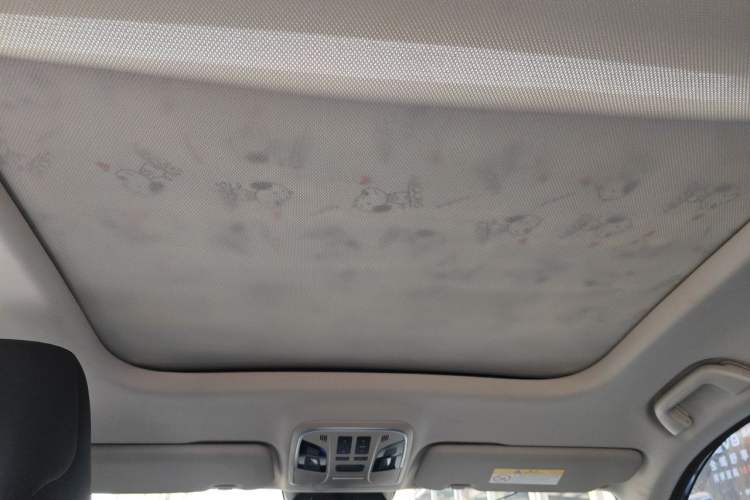 Used Haval F7 2020 1.5T Two-Wheel Drive i-Type Headliner