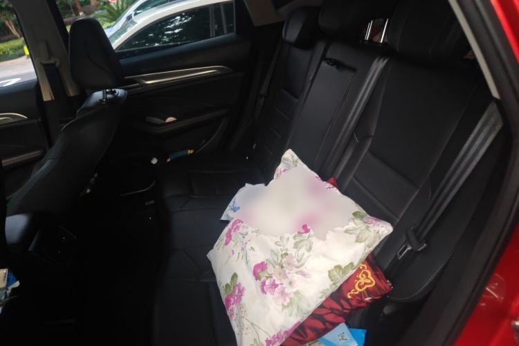 Used Haval F7 2020 1.5T Two-Wheel Drive i-Trend Left Rear Seat