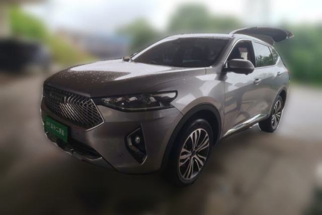 Used Haval F7 2020 2.0T Two-Wheel Drive i-Van