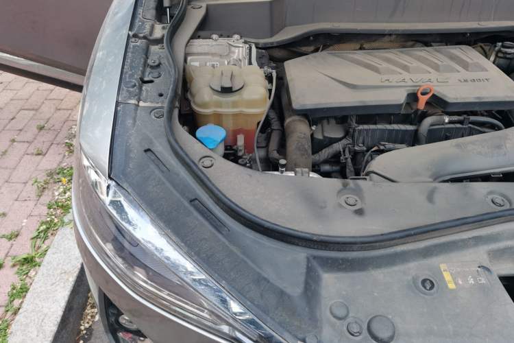 Used Haval F7 2020 1.5T Two-Wheel Drive i-Type Engine Bay Right