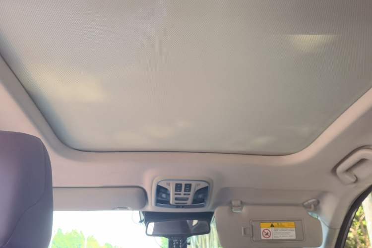 Used Haval F7 2020 1.5T Two-Wheel Drive i-Trend Headliner