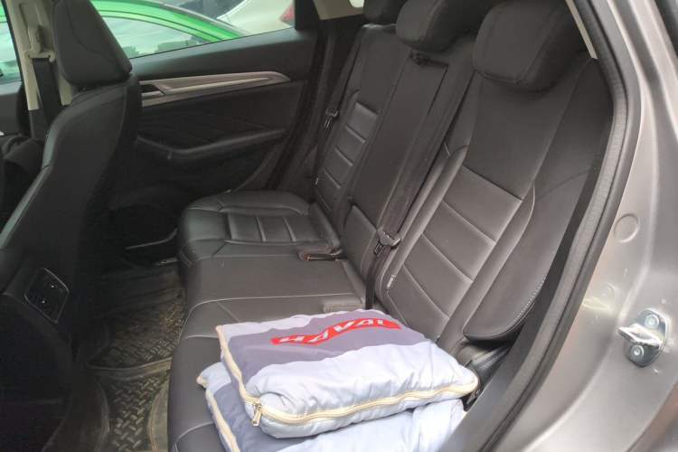 Used Haval F7 2020 1.5T Two-Wheel Drive i-Type Left Rear Seat