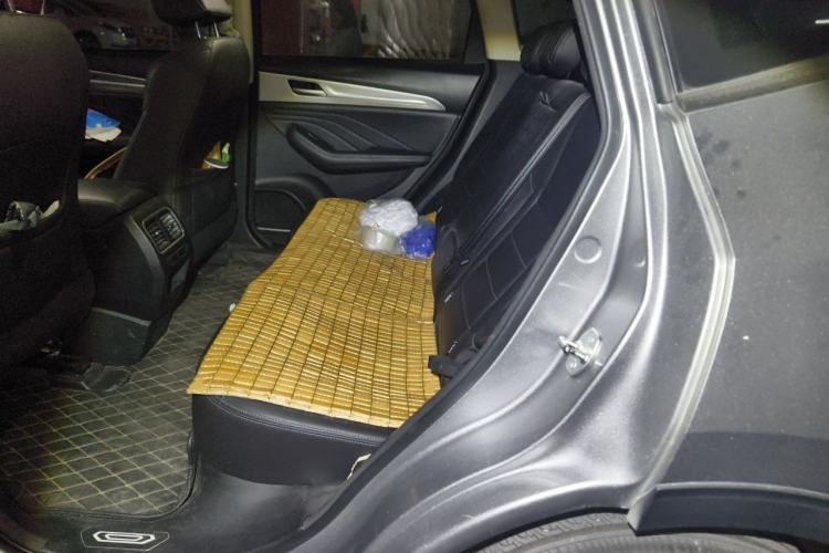 Used Haval F7 2020 2.0T Two-Wheel Drive i-Van Left Rear Seat