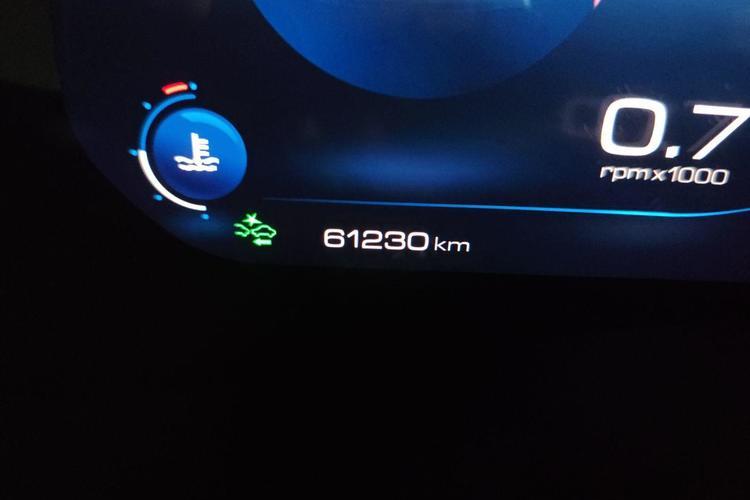 Used Haval F7 2020 2.0T Two-Wheel Drive i-Van Odometer Close Up