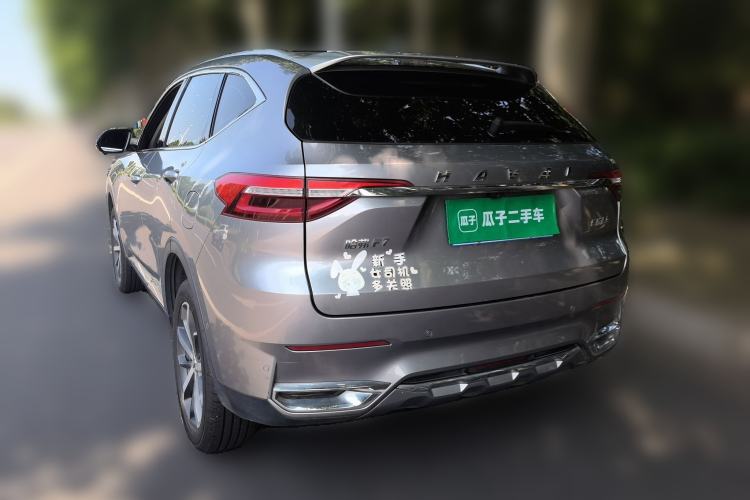 Used Haval F7 2020 1.5T Two-Wheel Drive i-Trend Rear Left 45 Deg