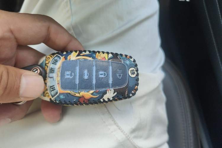 Used Haval F7 2020 2.0T Two-Wheel Drive i-Van Vehicle Key