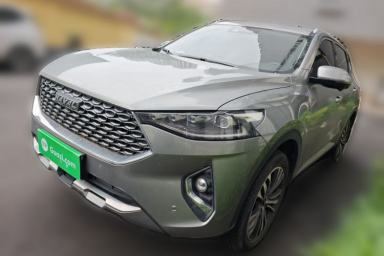 Used Haval F7 2020 2.0T Two-Wheel Drive i-Van