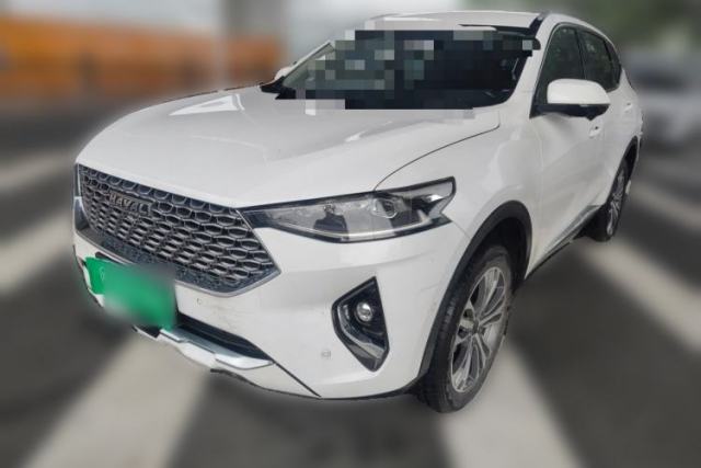 Used Haval F7 2020 2.0T Two-Wheel Drive i-Van