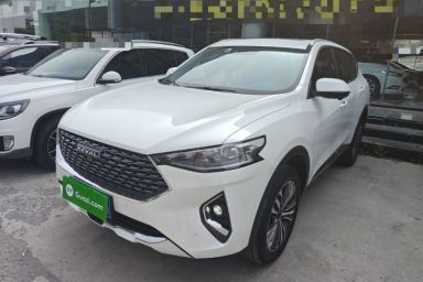 Used Haval F7 2020 2.0T Two-Wheel Drive i-Van
