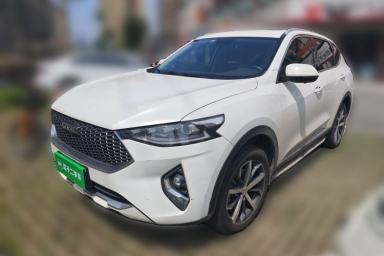 Used Haval F7 2020 1.5T Two-Wheel Drive i-Type