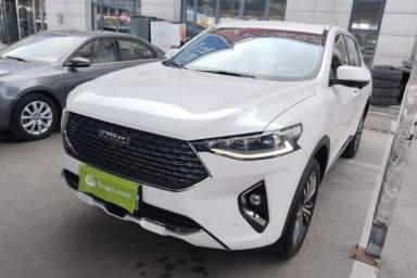 Used Haval F7 2020 2.0T Two-Wheel Drive i-Van
