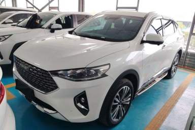 Used Haval F7 2020 2.0T Two-Wheel Drive i-Van