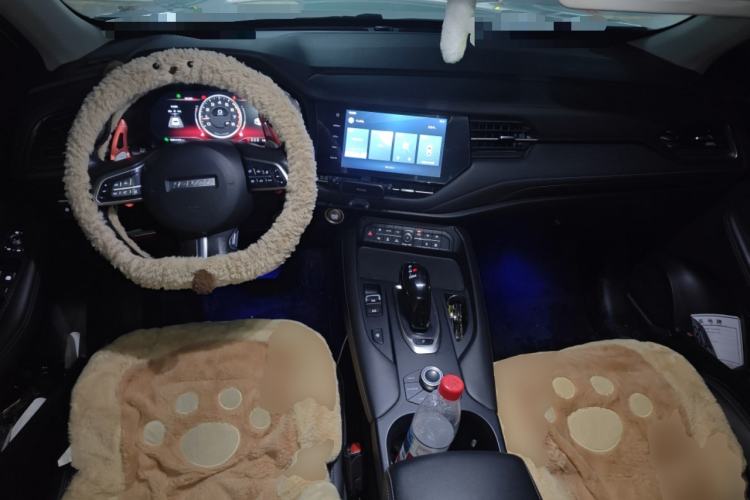 Used Haval F7 2020 1.5T Two-Wheel Drive i-Trend Center Console