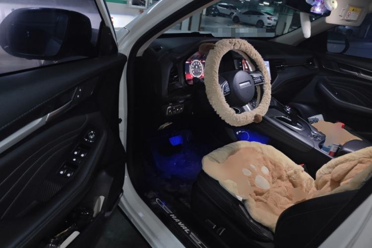 Used Haval F7 2020 1.5T Two-Wheel Drive i-Trend Driver Seat