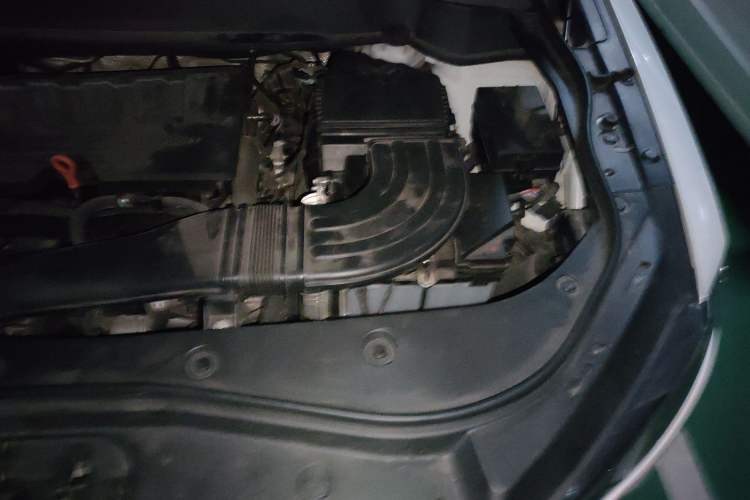 Used Haval F7 2020 1.5T Two-Wheel Drive i-Trend Engine Bay Left