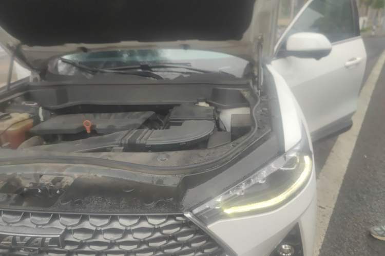 Used Haval F7 2020 1.5T Two-Wheel Drive i-Trend Engine Bay Left