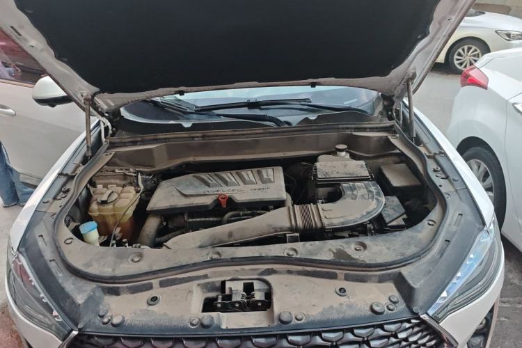 Used Haval F7 2020 1.5T Two-Wheel Drive i-Trend Engine Bay
