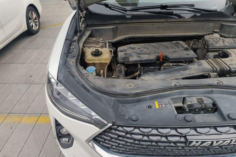 Used Haval F7 2020 1.5T Two-Wheel Drive i-Trend Engine Bay Right
