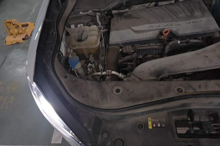 Used Haval F7 2020 1.5T Two-Wheel Drive i-Trend Engine Bay Right