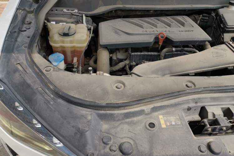 Used Haval F7 2020 1.5T Two-Wheel Drive i-Trend Engine Bay Right