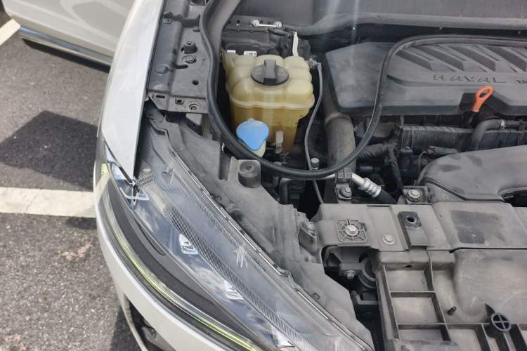 Used Haval F7 2020 1.5T Two-Wheel Drive i-Trend Engine Bay Right