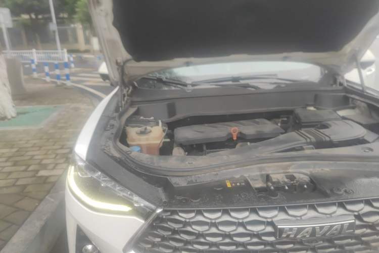 Used Haval F7 2020 1.5T Two-Wheel Drive i-Trend Engine Bay Right