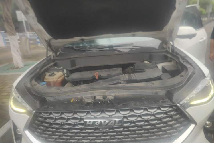 Used Haval F7 2020 1.5T Two-Wheel Drive i-Trend Engine Bay