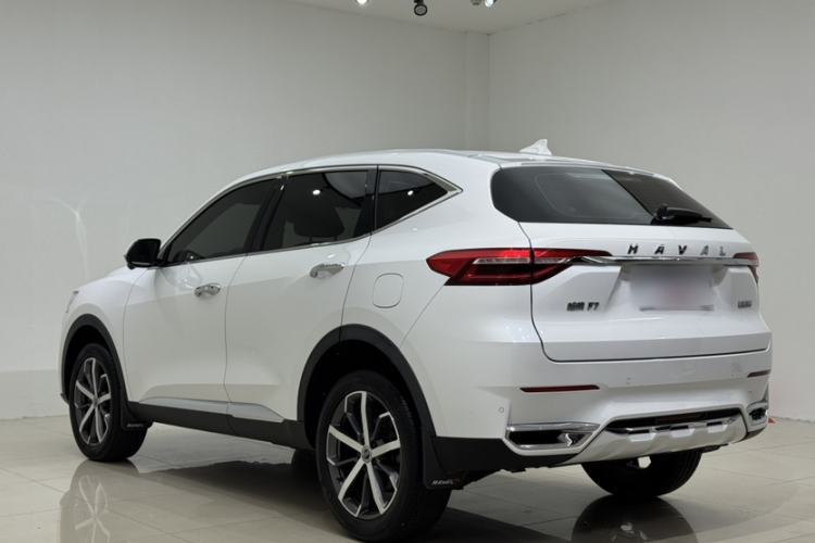 Used Haval F7 2020 1.5T Two-Wheel Drive iCool Exterior 10