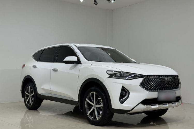 Used Haval F7 2020 1.5T Two-Wheel Drive iCool Exterior 2