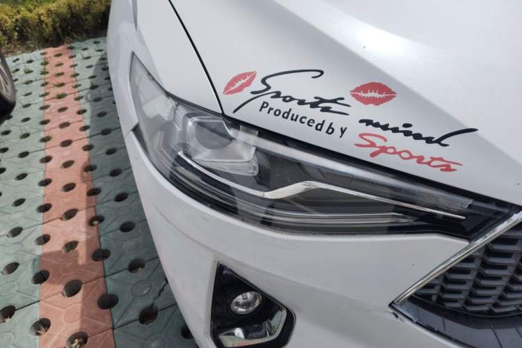 Used Haval F7 2020 1.5T Two-Wheel Drive iCool Exterior 6