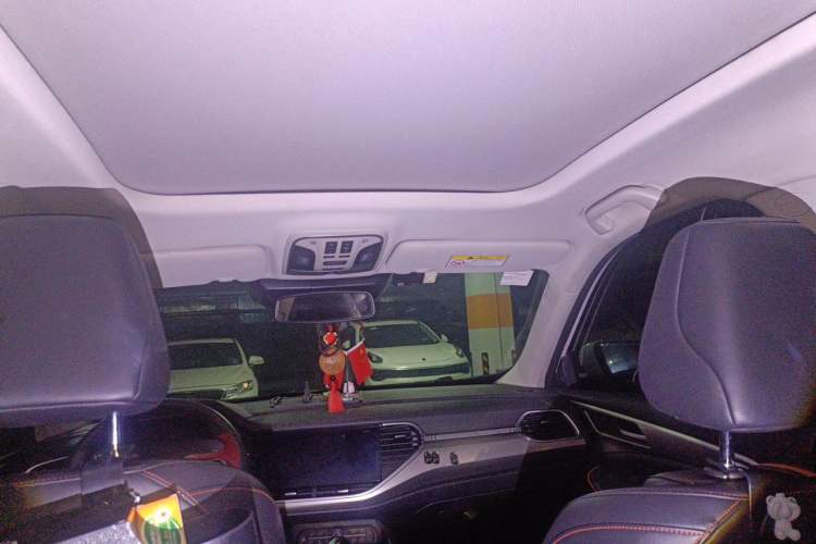 Used Haval F7 2020 1.5T Two-Wheel Drive i-Type Headliner