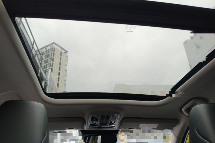 Used Haval F7 2020 2.0T Two-Wheel Drive i-Van Headliner