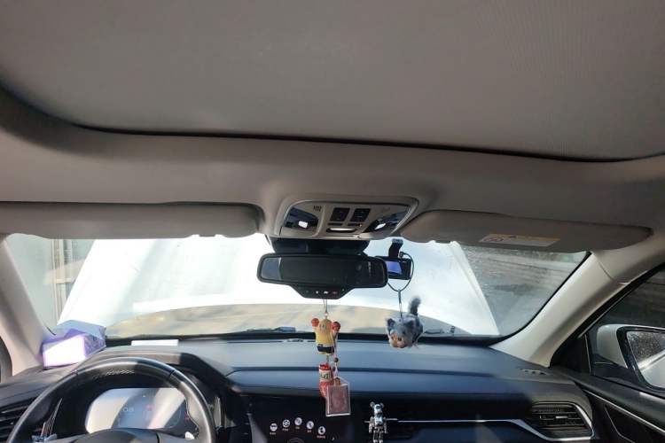 Used Haval F7 2020 1.5T Two-Wheel Drive i-Type Headliner