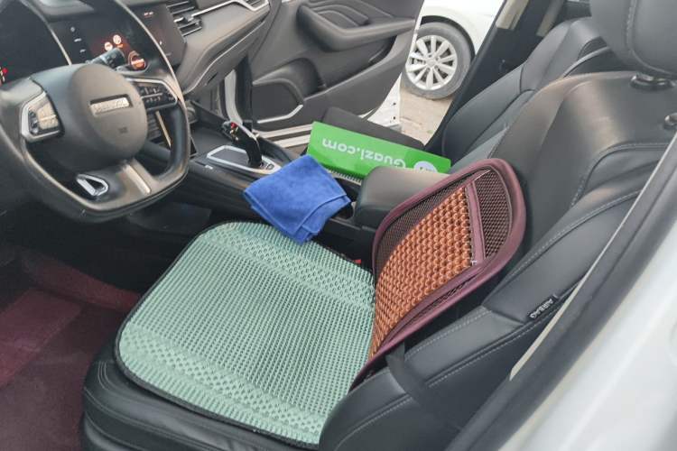 Used Haval F7 2020 2.0T Two-Wheel Drive i-Active Left Front Seat
