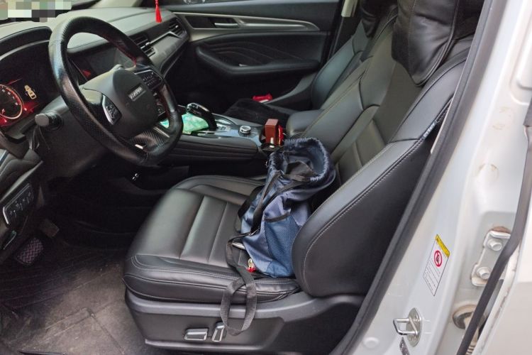 Used Haval F7 2020 1.5T Two-Wheel Drive i-Trend Left Front Seat