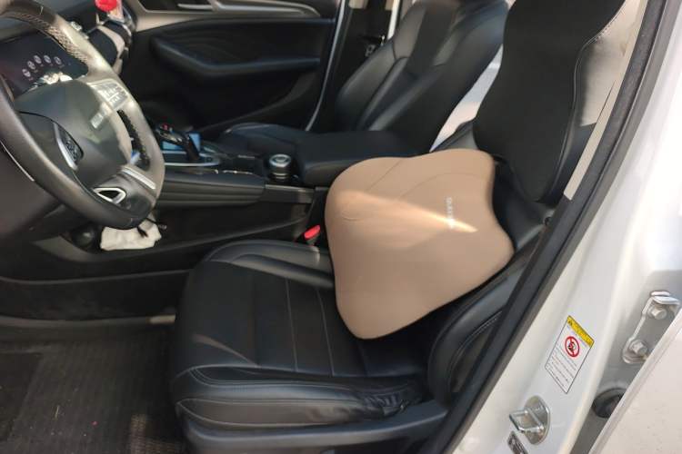 Used Haval F7 2020 1.5T Two-Wheel Drive i-Type Left Front Seat