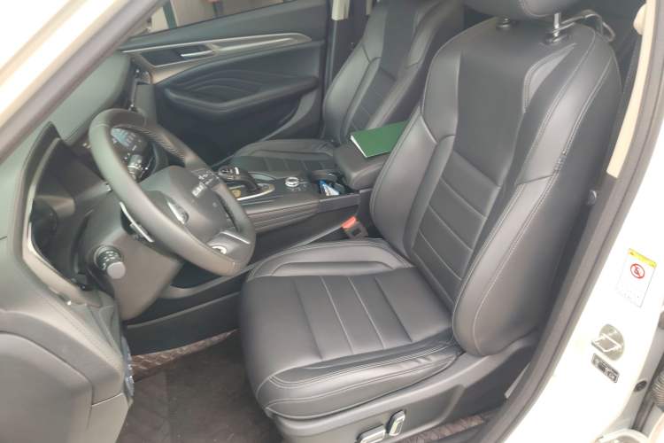 Used Haval F7 2020 2.0T Two-Wheel Drive i-Van Left Front Seat