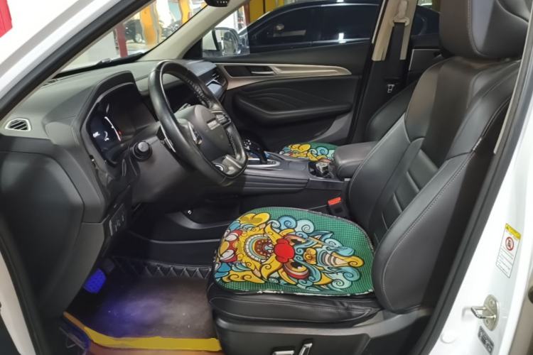 Used Haval F7 2020 1.5T Two-Wheel Drive i-Type Left Front Seat