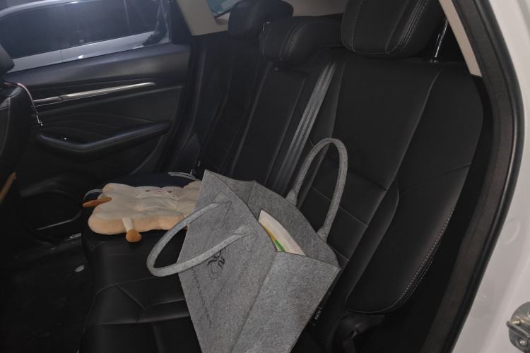Used Haval F7 2020 1.5T Two-Wheel Drive i-Trend Left Rear Seat