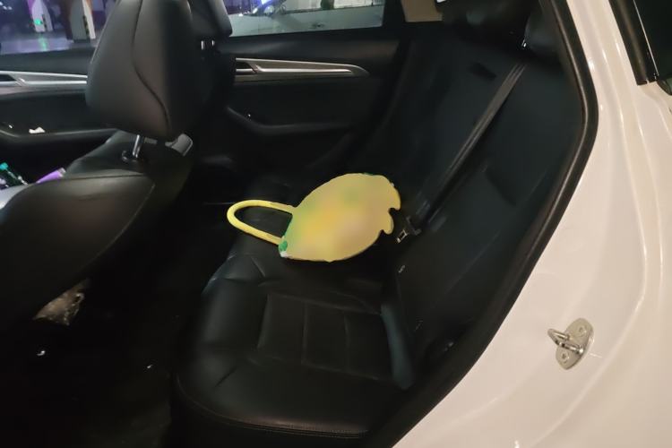 Used Haval F7 2020 1.5T Two-Wheel Drive i-Trend Left Rear Seat