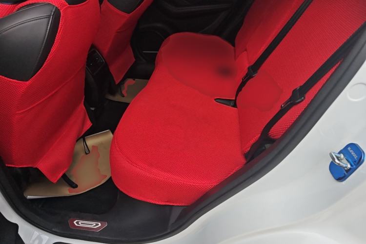 Used Haval F7 2020 2.0T Two-Wheel Drive i-Van Left Rear Seat