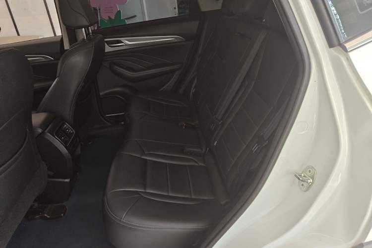 Used Haval F7 2020 1.5T Two-Wheel Drive i-Trend Left Rear Seat