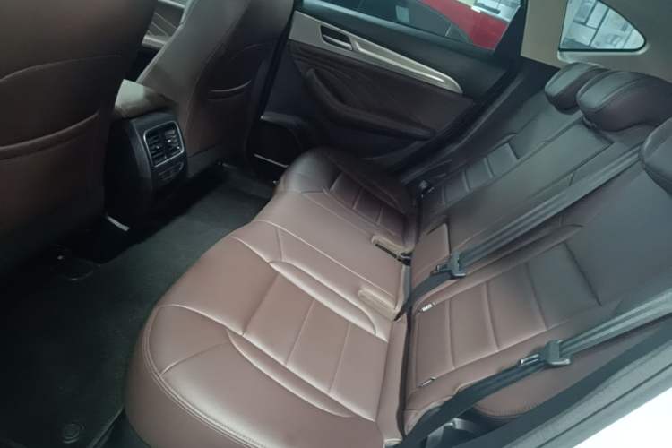 Used Haval F7 2020 2.0T Two-Wheel Drive i-Van Left Rear Seat
