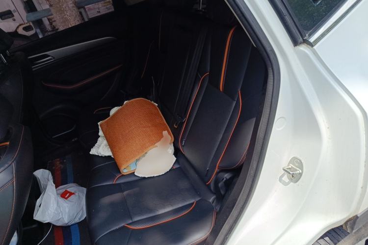 Used Haval F7 2020 2.0T Two-Wheel Drive i-Active Left Rear Seat