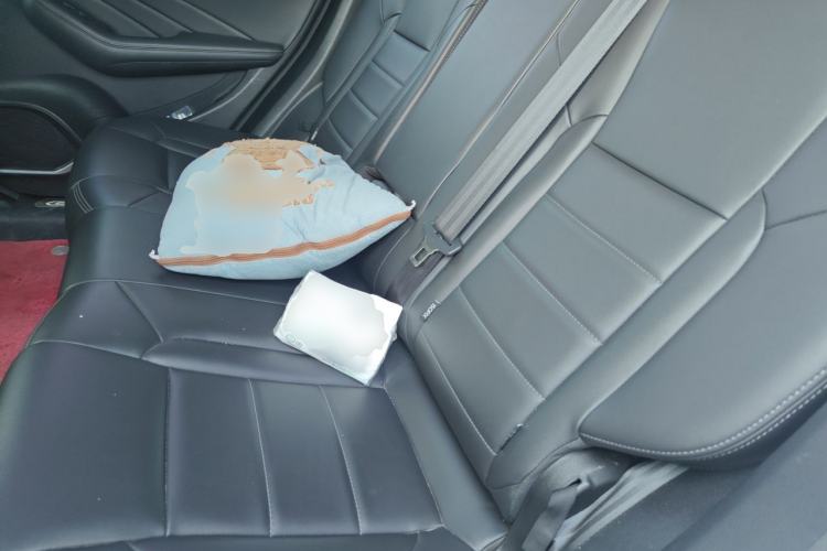 Used Haval F7 2020 2.0T Two-Wheel Drive i-Van Left Rear Seat